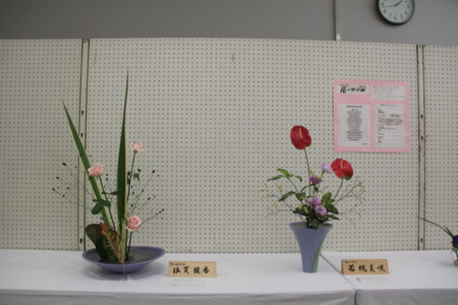 作品展示