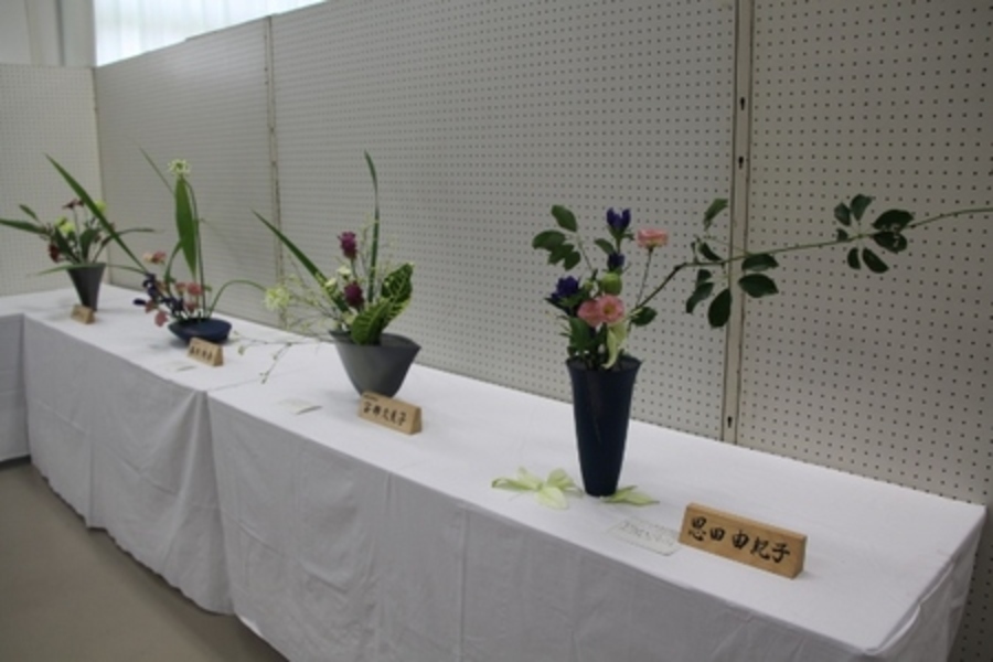 作品展示