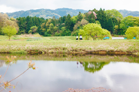 野原