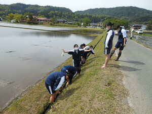 田植え６