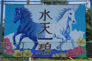 ６
