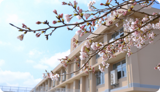 桜と校舎